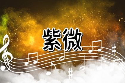 身宫高亮怎么读